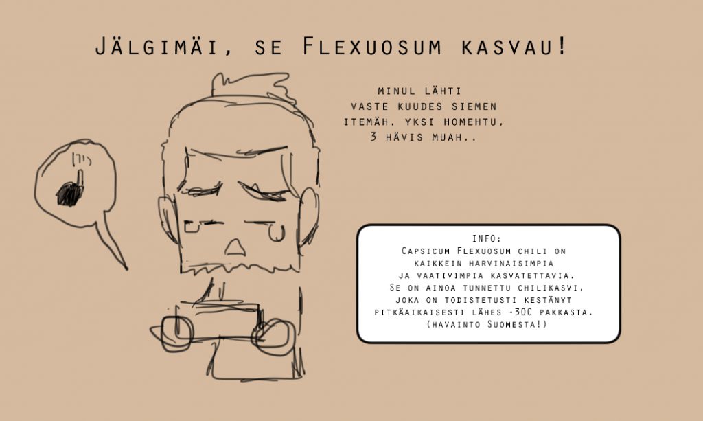 flexuosum